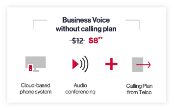 Program business voice without calling plan